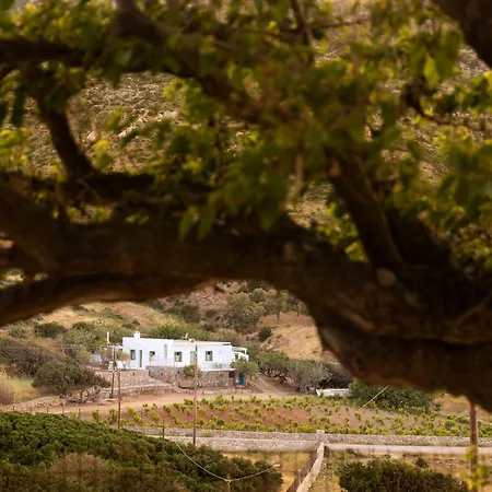 Nymph Klido * Kanaki