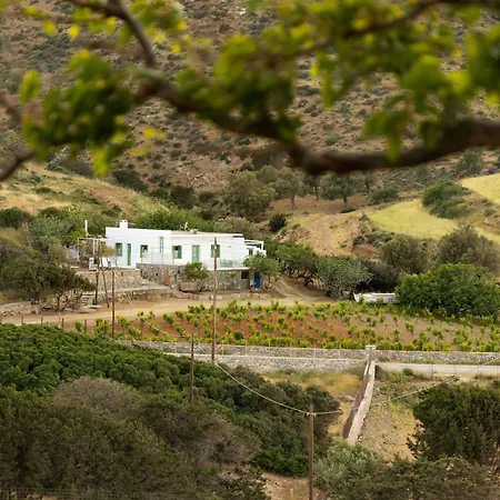 Nymph Klido Σπίτι διακοπών