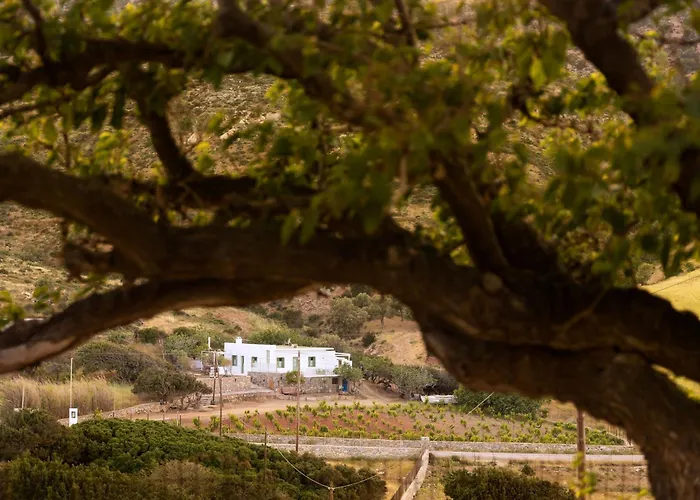 Nymph Klido * Kanaki