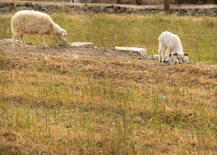 펜션 Nymph Klido *
